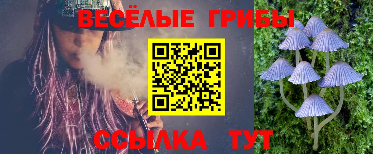 Галлюциногенные грибы Cubensis Лабытнанги
