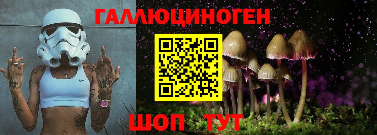 Лабытнанги  Псилоцибиновые грибы GOLDEN TEACHER  Вход с VPN 
